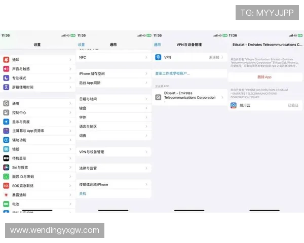 开云体育iOS客户端下载最新版本的详细步骤与注意事项