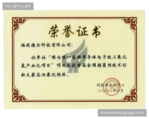 问鼎投资有限公司如何利用资本优势推动网络游戏内容创新与技术升级