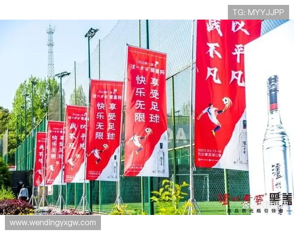 问鼎足球官网：助力足球运动推广与普及的专业平台提供丰富培训资源